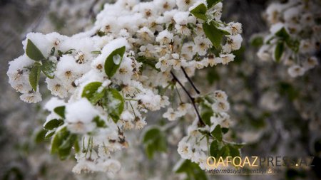 Yağış, qar yağacaq - SABAHIN HAVASI